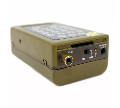 Плюрифон RDP-2 35W Mono Class D