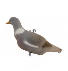 Чучело вяхирь